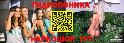 стаф Краснознаменск