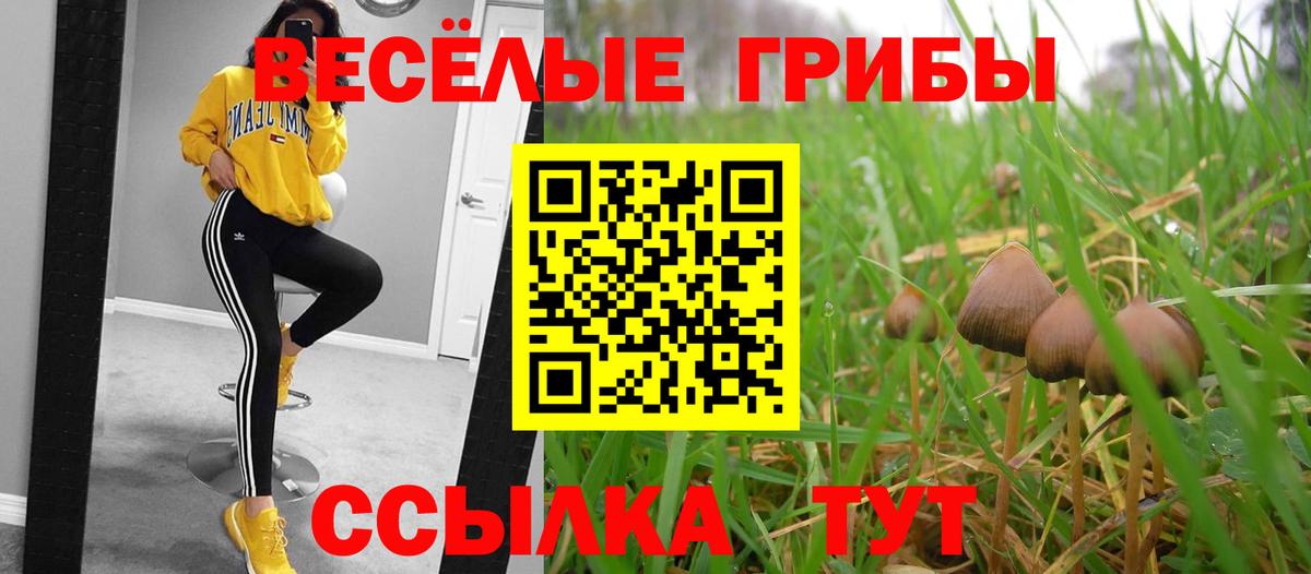 Галлюциногенные грибы ЛСД Юрга