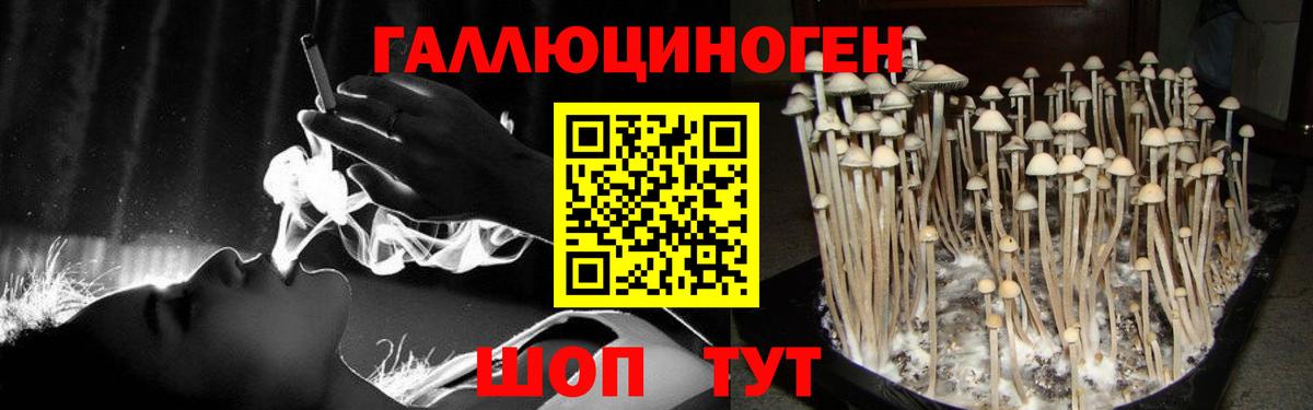 Галлюциногенные грибы Psilocybe  Псилоцибиновые грибы мицелий  Юрга  Вход с VPN 